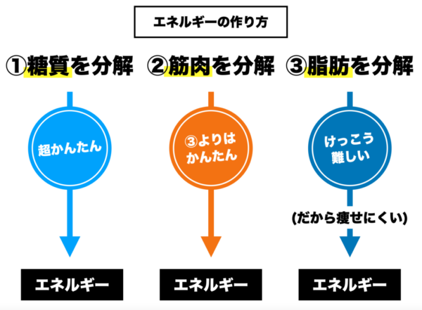 ３通りあるエネルギーの作り方についてわかりやすく説明したイメージ図