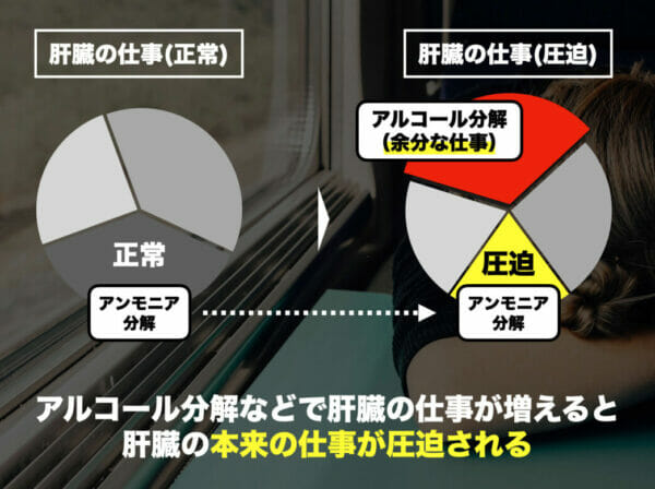 アルコールを飲むと肝臓の仕事が増えて疲れてアンモニア分解がうまくできなくなってしまうことを表した円グラフのイメージ