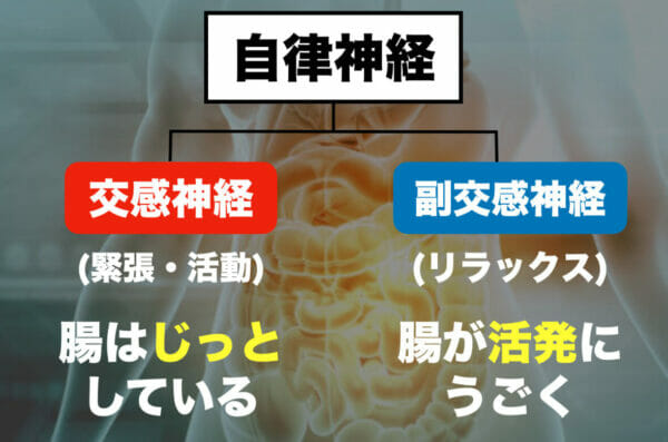 ウーバーイーツで便秘解消に効くオートミールを運んでいる人のイメージ