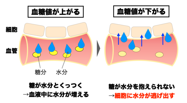 甘いものを食べると細胞に水分が逃げ出してむくむ理由についてわかりやすくまとめた図表イメージ