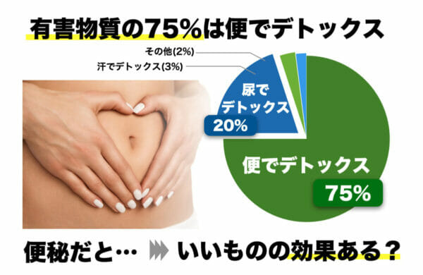 デトックスには便を出すことが最も重要だと説明しているイメージ